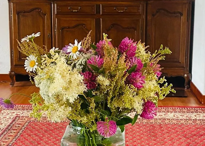 With A Jacuzzi Close To Tehvandi Appartement *